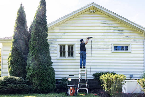 Best Soft Washing  in Harleigh, PA